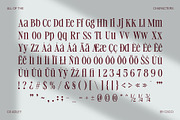 CS Adley – Elegant Font, a Serif Font by Craft Supply Co. (Thumbnail 8 of 8)