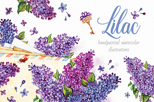 Lilac. Watercolor