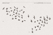 Sketch-Style Bird Flock Vector Set, an Animal Illustration by TheMountBirdStudio (Thumbnail 5 of 11)
