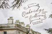 Broken Prints - Rough Vintage Script, a Script Font by Bale Type (Thumbnail 4 of 9)
