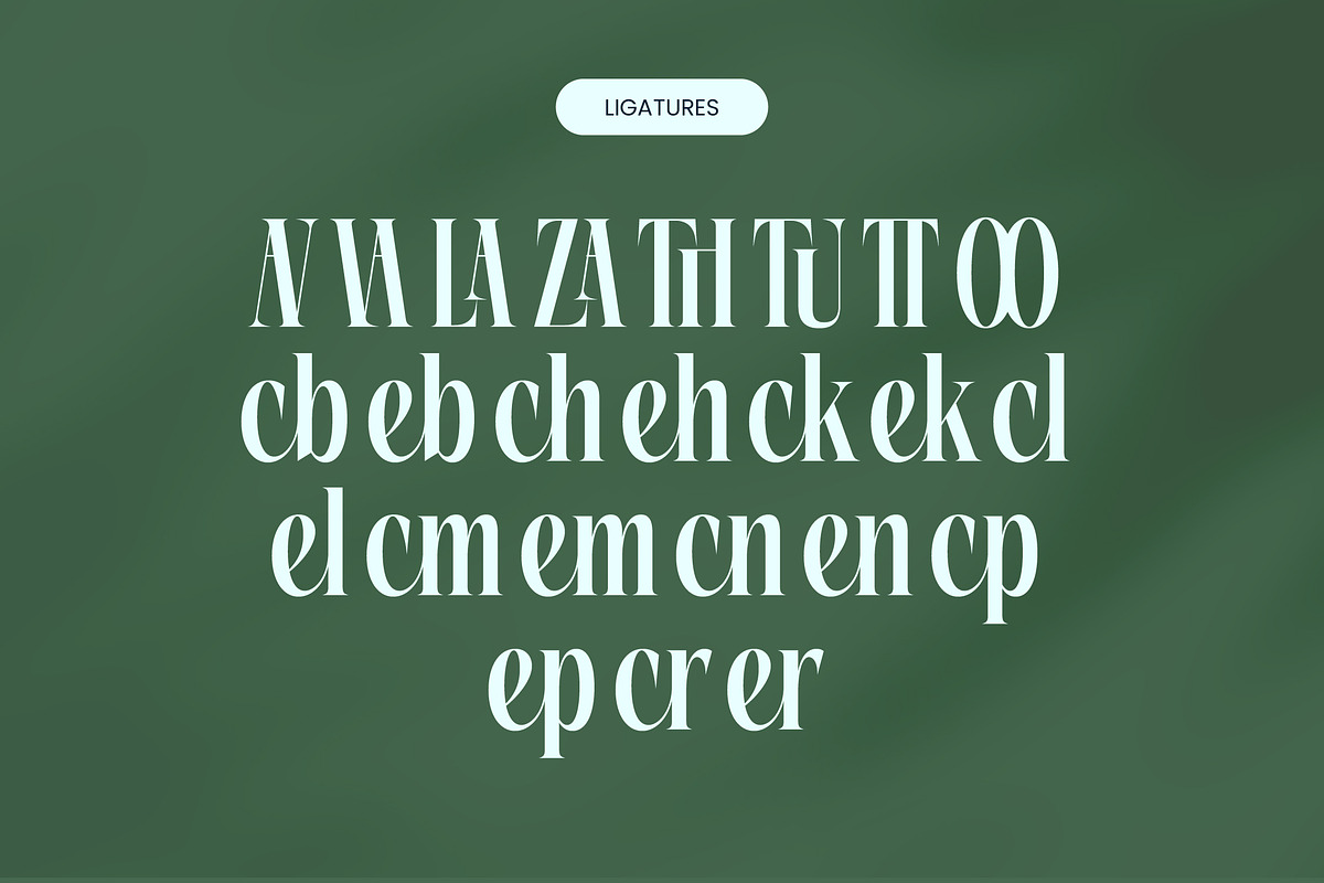 Repslag Brocker Luxury Serif Font, a Serif Font by timelesstype.co (Photo 17 of 20)