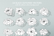 Outlined & Watercolor Peonies, an Illustration by sarahnuzum (Thumbnail 2 of 6)