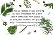 Kanto Script | A Monoline Typeface, a Script Font by Nicolas Fredrickson (Thumbnail 4 of 10)