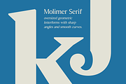 Molimer Family Serif Font, a Serif Font by Marvadesign (Thumbnail 5 of 11)