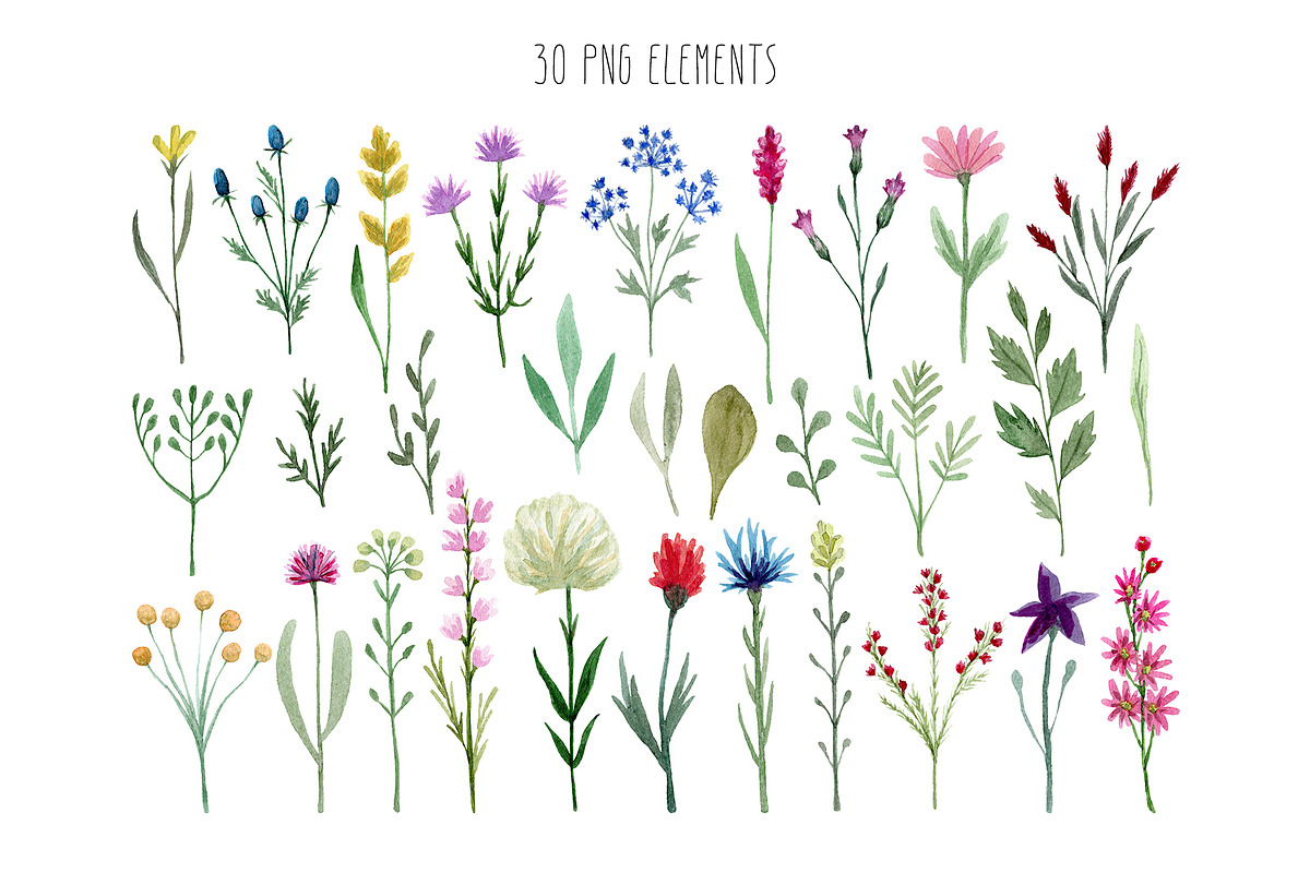 Watercolor Wildflowers, a Decorative Illustration by Slastick (Photo 2 of 8)