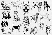33 DOGS hand drawn illustrations, an Animal Illustration by AnastasiyaOleynik (Thumbnail 7 of 7)