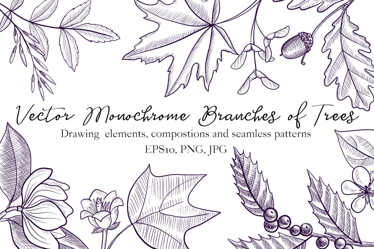Vector Monochrome Branches of Trees, an Illustration by cat_arch_angel (Photo 1 of 12)