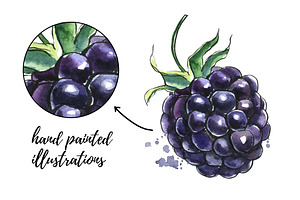 Berry Fusion Hand Drawn Watercolors