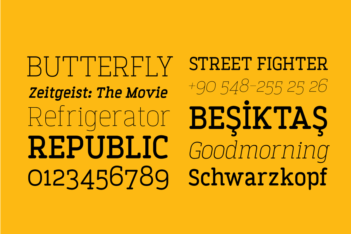 Finalist Round Slab, a Slab Serif Font by BULENT YUKSEL (Photo 7 of 8)