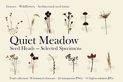 Quiet Meadow — Seed Heads Collection, an Object Graphic by Aga Silva (Thumbnail 2 of 7)