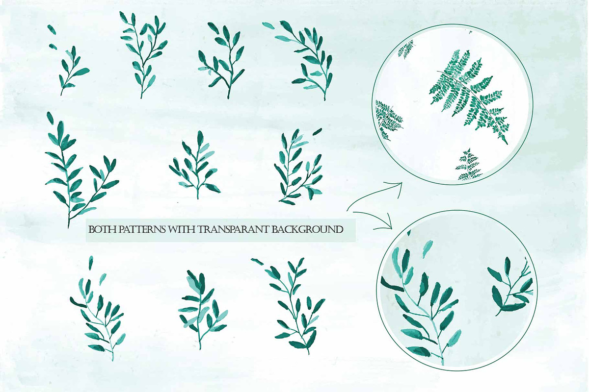 Forest Greenery Collection, an Illustration by Arie Clares (Photo 6 of 6)