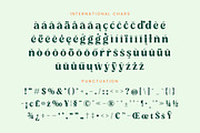 Myngo Bakery Modern Serif Font, a Serif Font by timelesstype.co (Thumbnail 19 of 20)