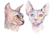 Watercolor Sphynx Cats Set, an Illustration by Elizaveta (Thumbnail 4 of 5)