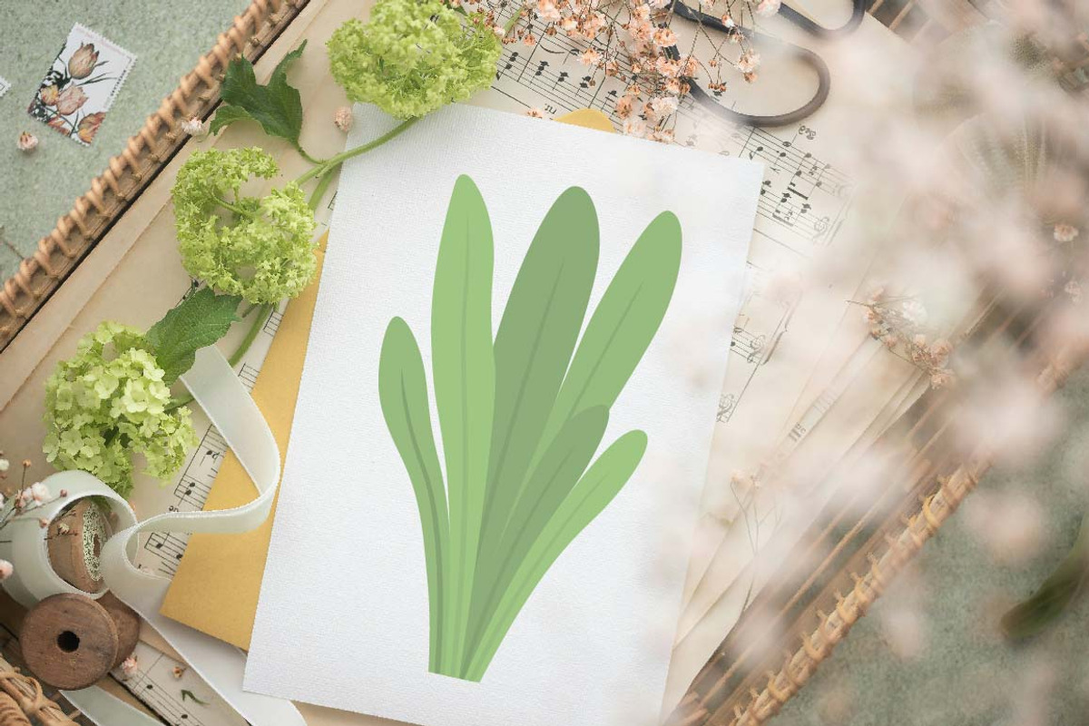 25 Leaves Foliage Leaf Nature Plant, a Decorative Illustration by jongcreative (Photo 4 of 7)