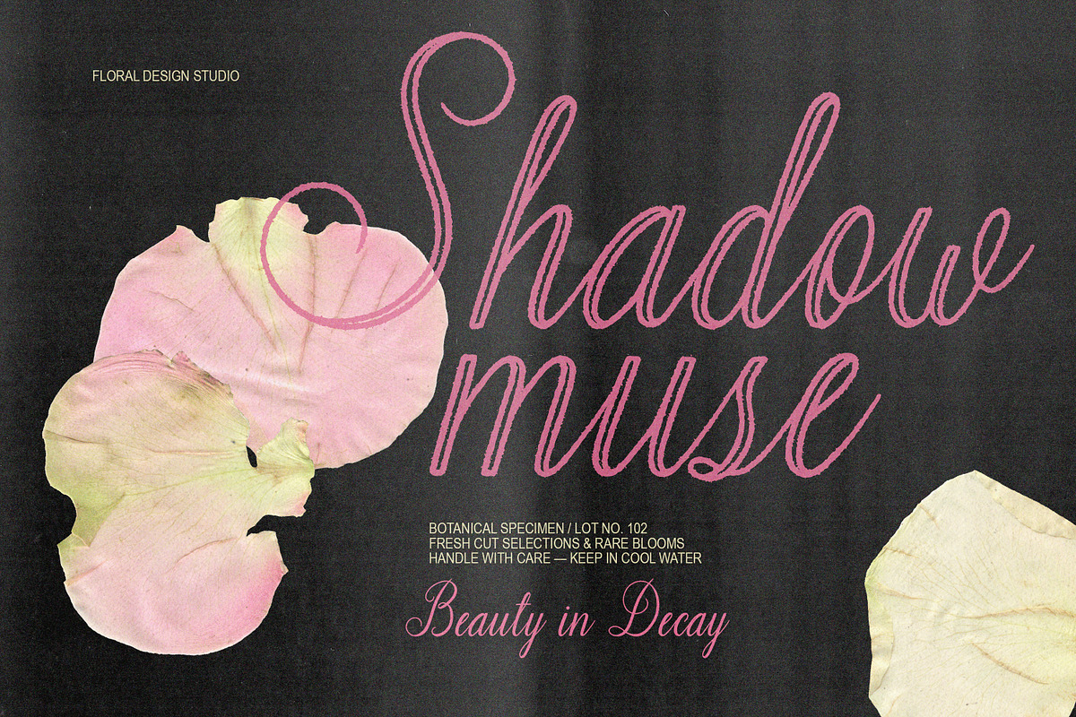 Adore Studio Romantic Font Duo, a Script Font by AnMark (Photo 3 of 14)
