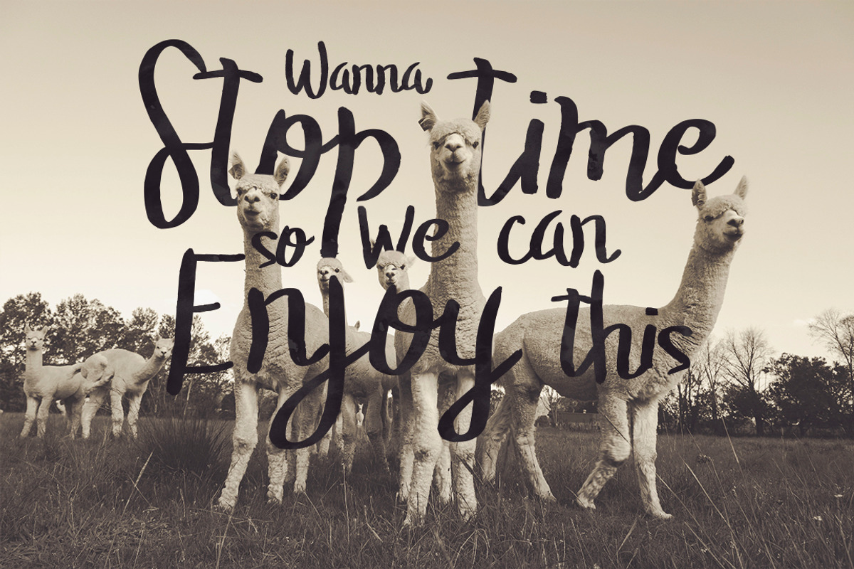 The Stopped Brush Typeface preview 5