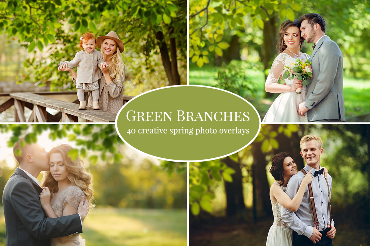Green Branches photo overlays, an Object Graphic by BrownLeopard (Photo 1 of 6)