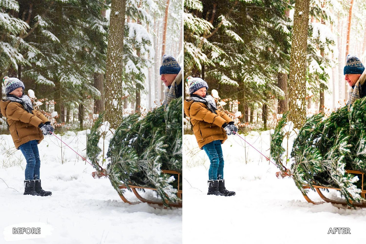 10 Frosted December Lightroom Preset, a Preset Add-On by LucaTheme (Photo 4 of 9)
