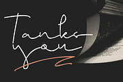 Brigham Signature Script, a Script Font by Glyphstyle (Thumbnail 10 of 10)