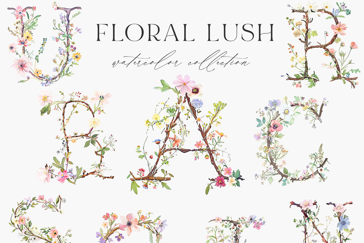 New! Wild Flowers Edition, a Seasonal Illustration by Isabelle Salem (Photo 83 of 155)