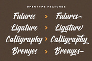 Aylafs - Bold Script Font, a Script Font by StringLabs (Thumbnail 7 of 11)