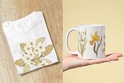 Spring Floral Vector Illustrations, a Decorative Illustration by Emma Webb Studio (Thumbnail 9 of 9)