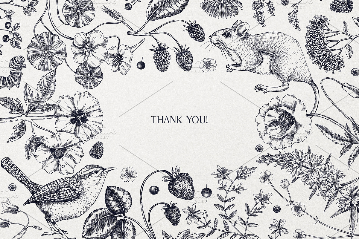 Vector Animals & Summer Flowers Set, a Seasonal Illustration by Yevheniia (Photo 14 of 14)
