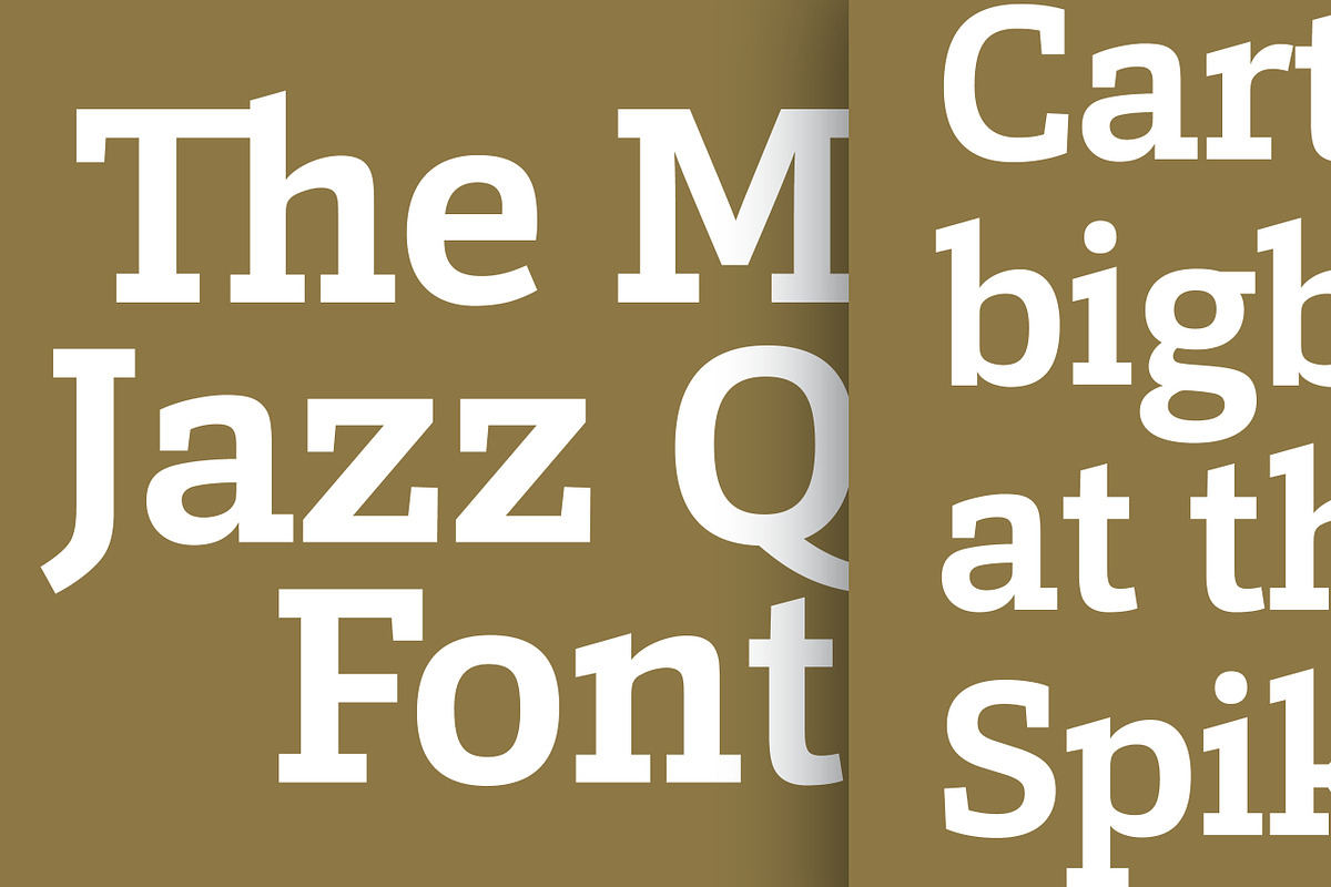 Calanda, a Slab Serif Font by Hoftype (Photo 11 of 26)