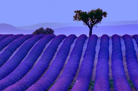 The Blue Country. Provence