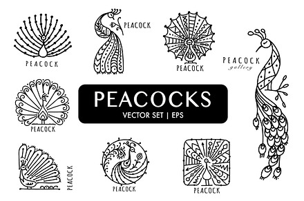 Peacock collection, ethnic style