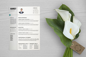 Resume Template-V041