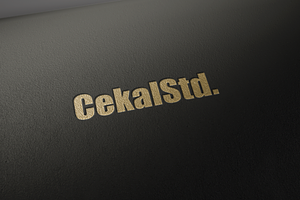 Luxury Paper Mockup