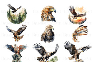 Watercolor Eagle Clipart, American