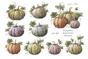 Watercolor Floral Pumpkin Clipart., a Decorative Illustration by VetaDesign (Thumbnail 3 of 10)