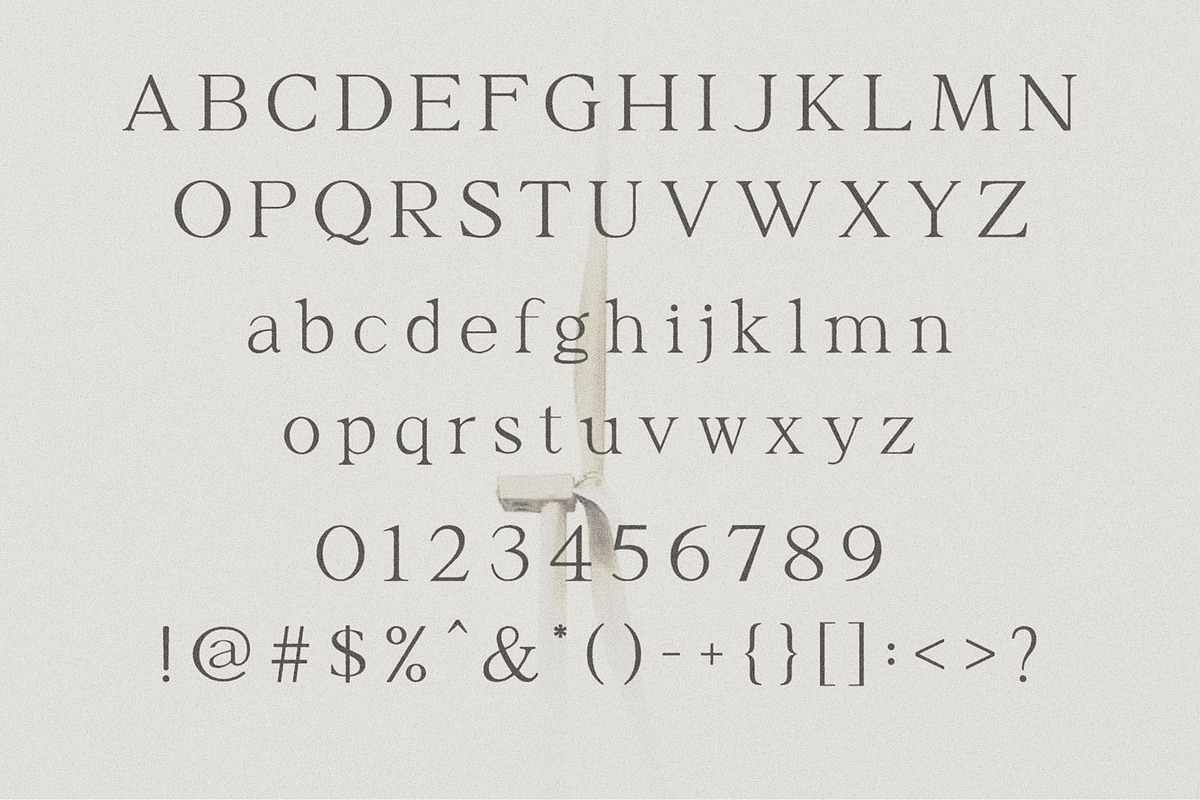 Moghize - Modern Elegant Serif, a Serif Font by Typeformers (Photo 4 of 5)