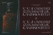 Inkveins - A Serif + Italic Font, a Serif Font by Eagle & Bison Design Co. (Thumbnail 5 of 6)