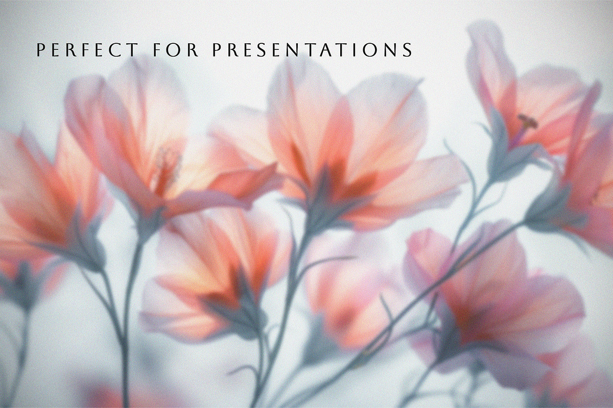 Dreamy Floral Backgrounds, a Background Graphic by Vika_Softlife (Photo 7 of 8)