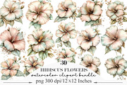 Watercolor Hibiscus Flowers Clipart, an Illustration by Designking (Thumbnail 1 of 5)