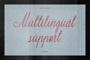 Adore Studio Romantic Font Duo, a Script Font by AnMark (Thumbnail 8 of 14)