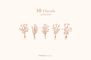 Floral Line Drawings Logo Elements, an Illustration by Kaya Fonts (Thumbnail 3 of 10)