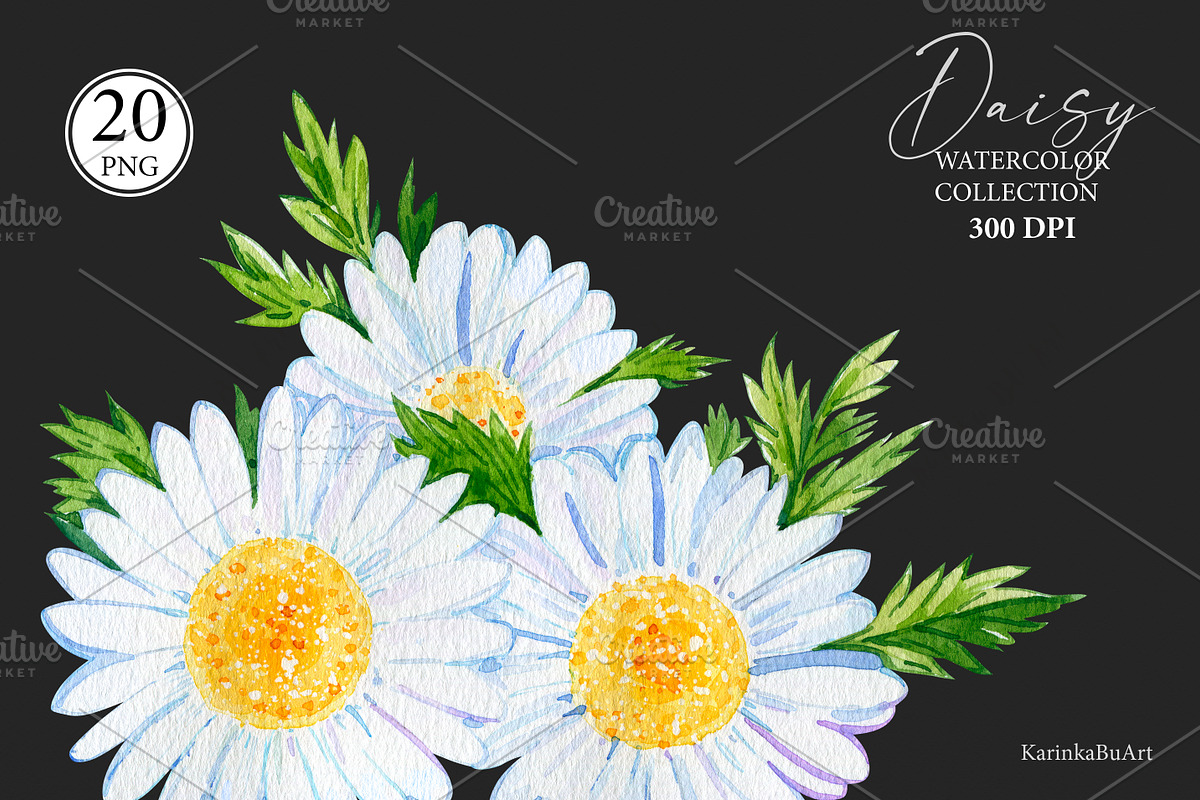 Watercolor Daisy flower clipart 20, an Object Graphic by KarinkaBU (Photo 5 of 5)