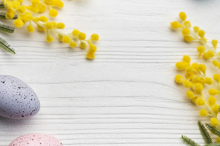 Colorful easter eggs  and mimosa flowers on wooden table., a Holiday Photo by Olena Rudo