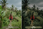 10 Soft Green Lightroom Presets, a Preset Add-On by MEPRESETS (Thumbnail 2 of 9)