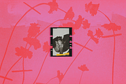 Analog Bloom Backgrounds, a Background Graphic by Lilithcollageart (Thumbnail 7 of 11)