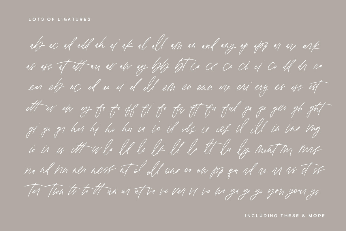 Scotty: a Social Media Quote Script preview 8