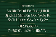Voguella - Luxury Serif, a Serif Font by Mokatype Studio (Thumbnail 9 of 11)