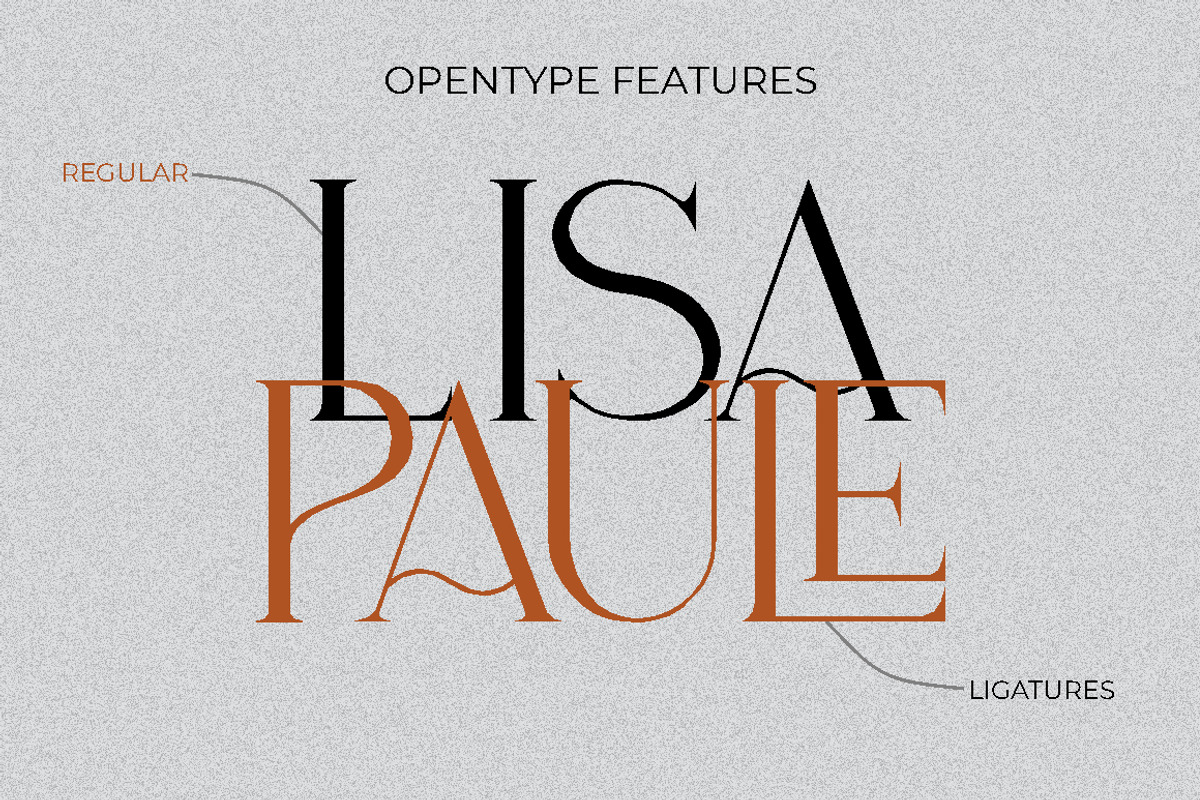 Tofes - Modern Serif Font, a Serif Font by PutraCetol Studio (Photo 7 of 11)