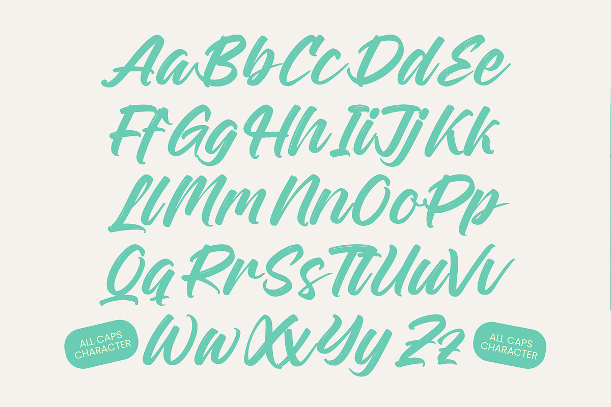 Rough Streak Bold Brush Font, a Script Font by Letterena Studios Script (Photo 16 of 20)