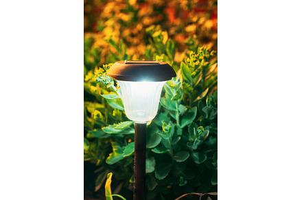 Decorative Small Solar Garden Light, a Nature Photo by Our Amazing World