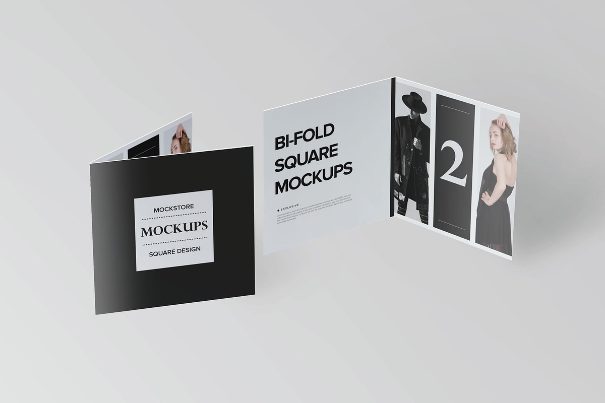 Bi-Fold Brochure Mockup 8 Style, a Print Template by Mockstore (Photo 3 of 18)